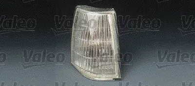 Najlepsza cena Lampa kierunkowskazu VALEO 061205