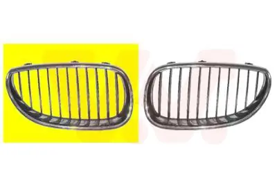 Bestseller Kratka chłodnicy VAN WEZEL 0655514
